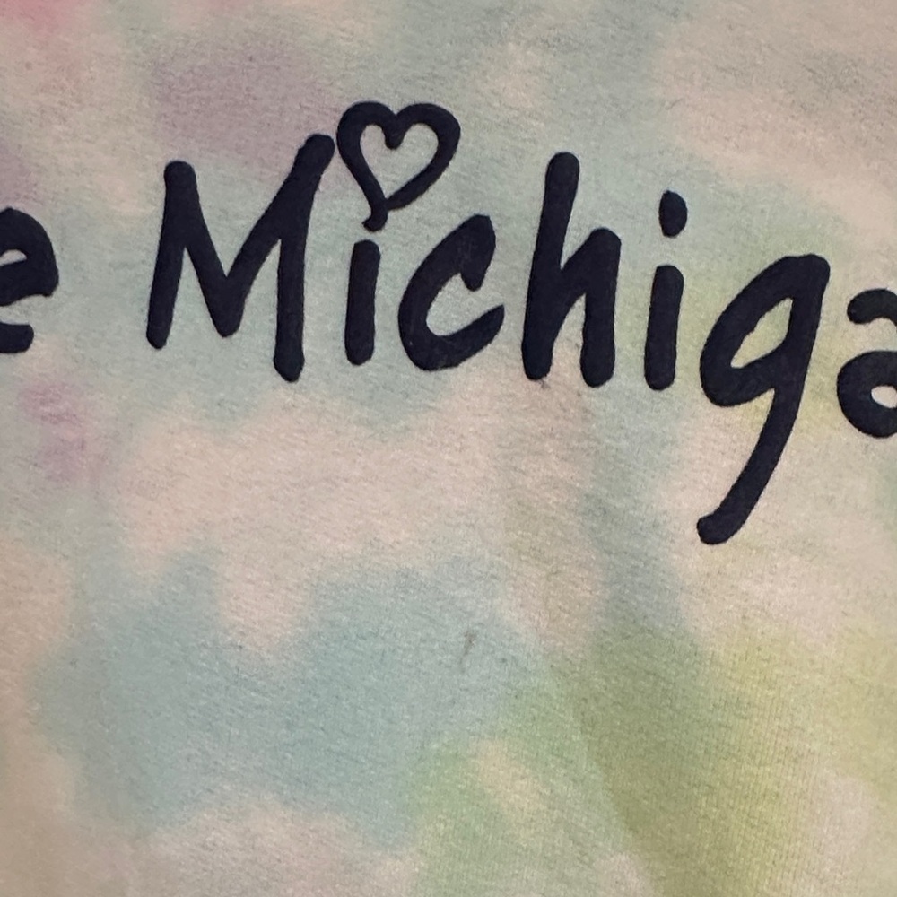 Pastel Tie-Dye Lake Michigan Hoodie - Picture 4 of 9